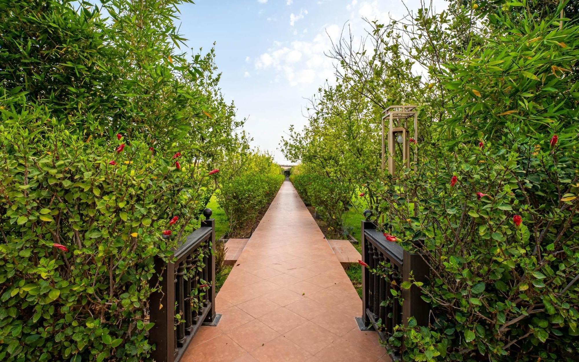 Отель The Lemonary Marrakech Ouled Moumen Экстерьер фото