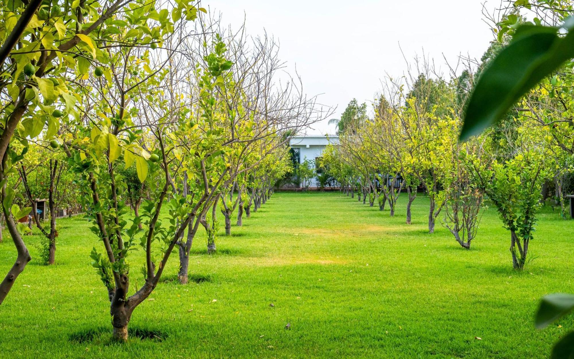 Отель The Lemonary Marrakech Ouled Moumen Экстерьер фото