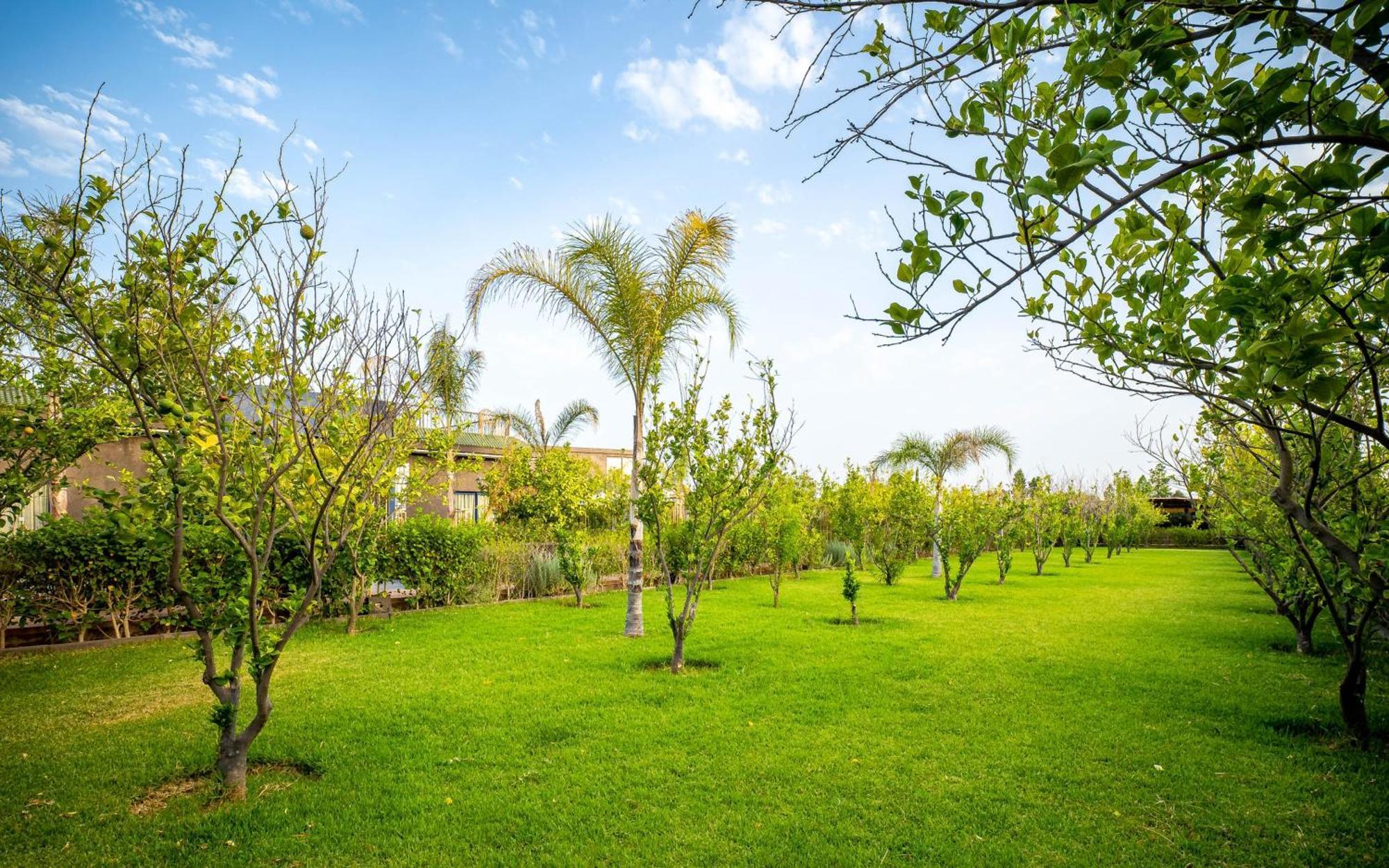 Отель The Lemonary Marrakech Ouled Moumen Экстерьер фото