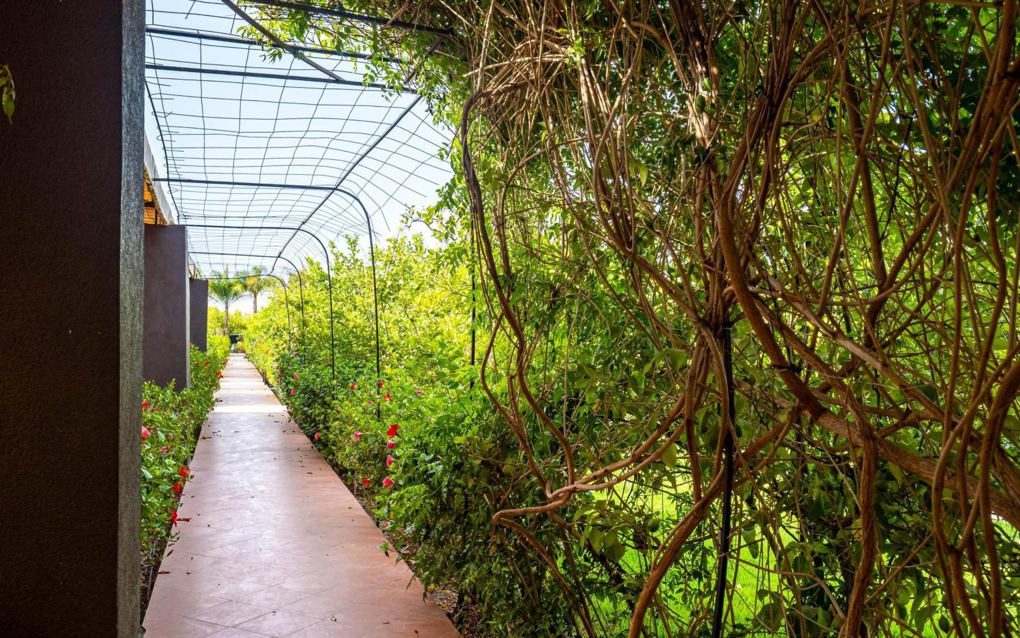 Отель The Lemonary Marrakech Ouled Moumen Экстерьер фото