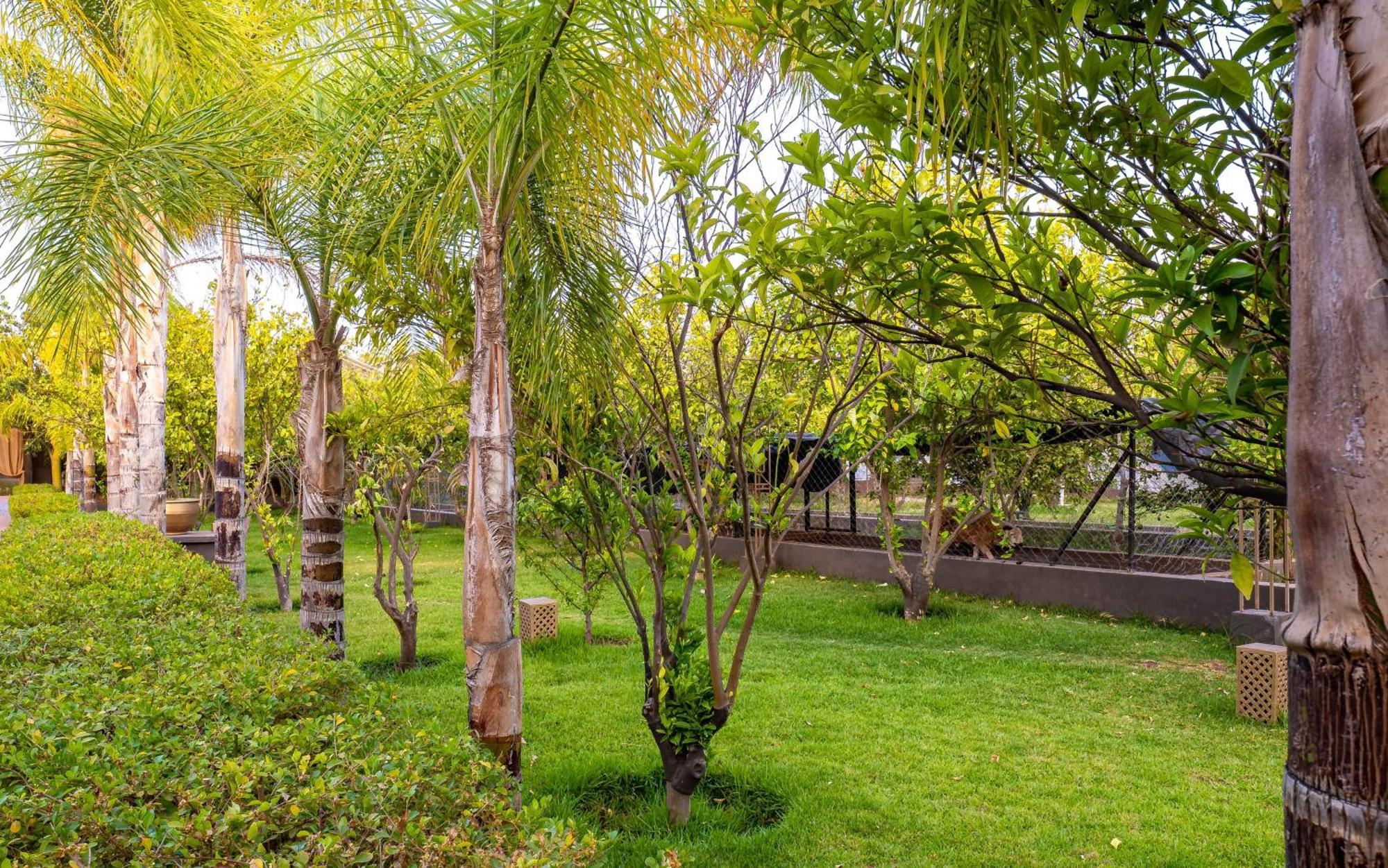 Отель The Lemonary Marrakech Ouled Moumen Экстерьер фото